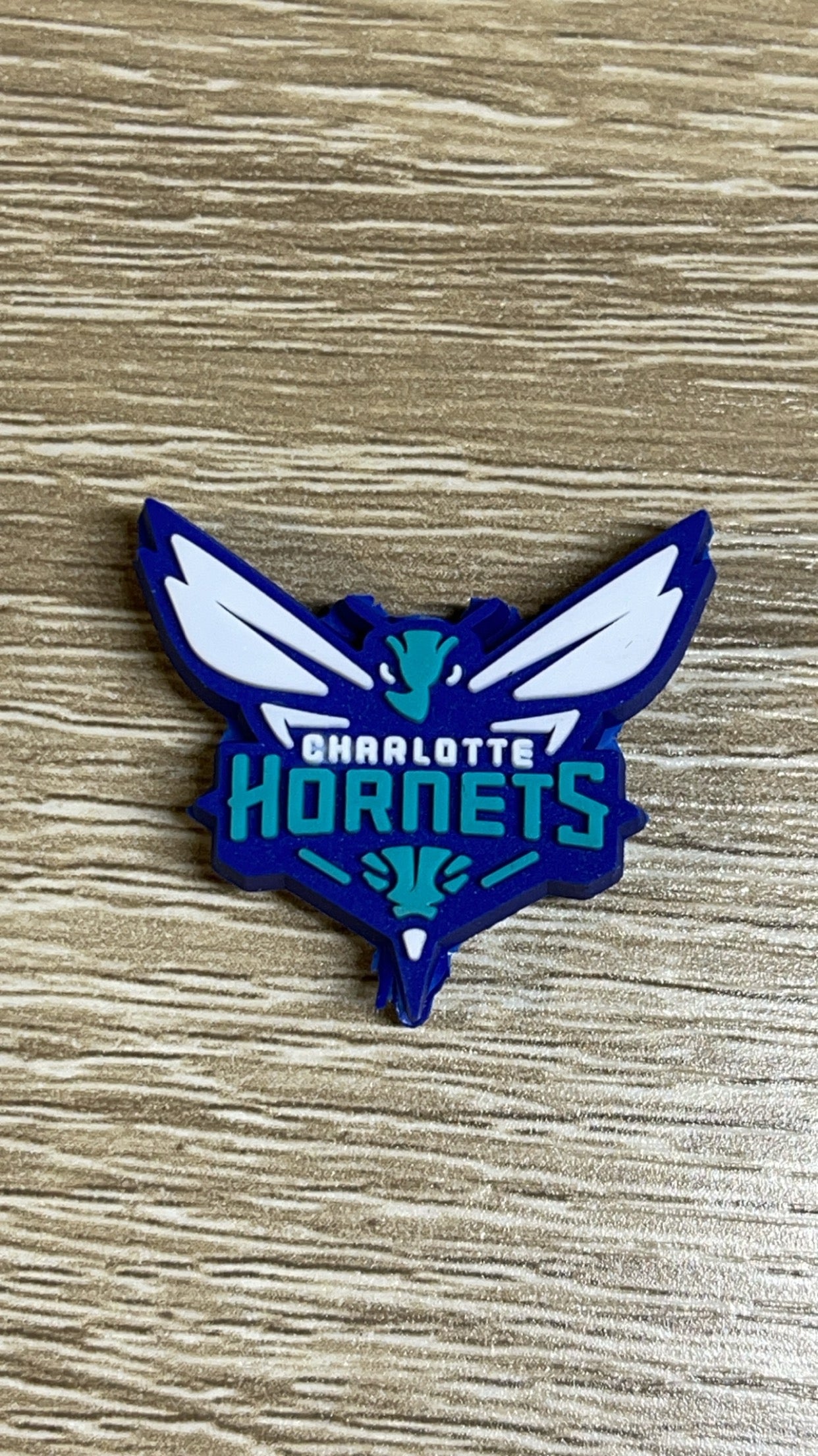 PublicCharlotteHornets PVC Focal