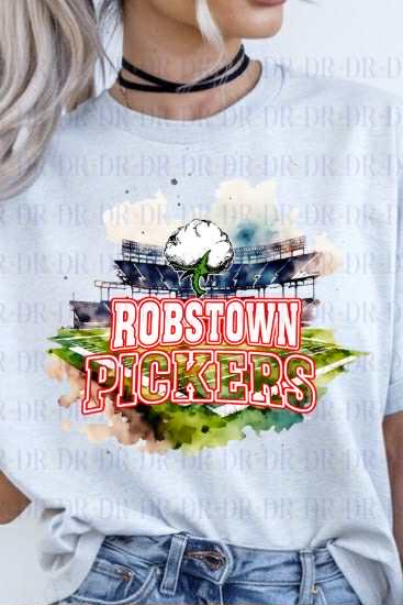 Robstown Pickers Watercolor Stadium PNG